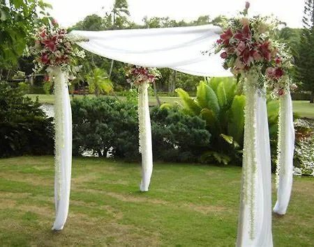 Luxury Pace Ed Eleganza